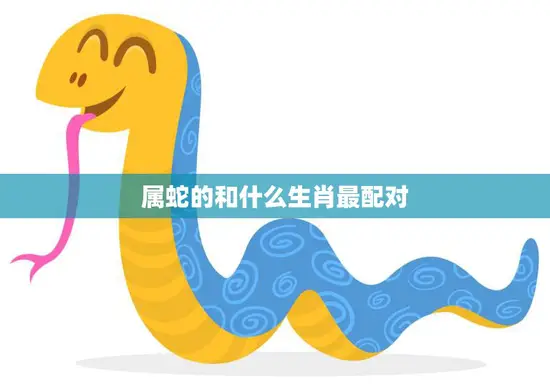 属蛇的和什么生肖最配对(最佳搭档大揭秘)