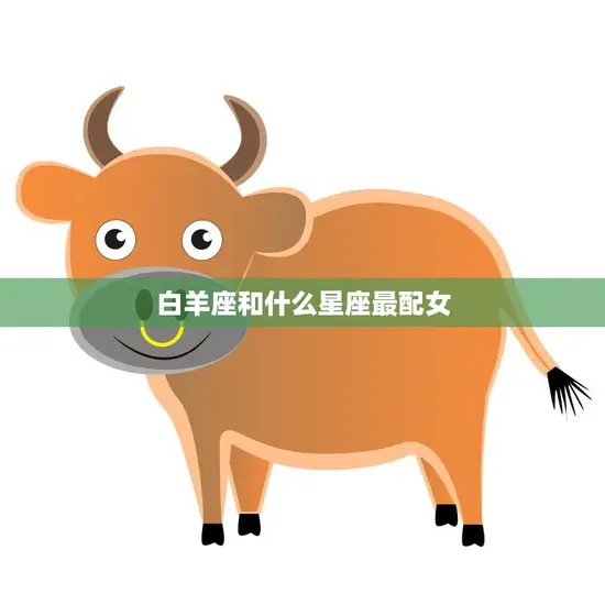 白羊座和什么星座最配女(最佳星座搭配大揭秘)