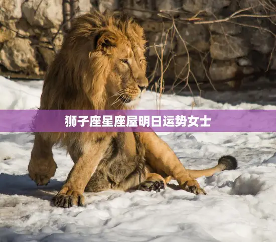 狮子座星座屋明日运势女士(明日财运旺盛)