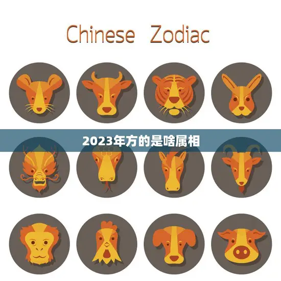2023年方的是啥属相(揭秘未来的生肖之谜)