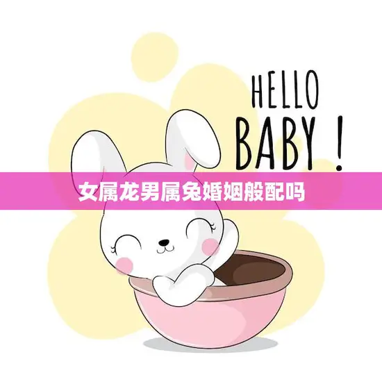 女属龙男属兔婚姻般配吗(如何评价这种组合)