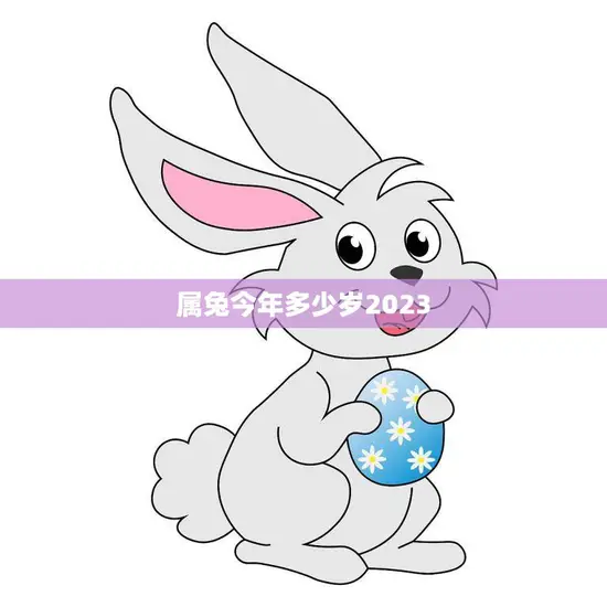 属兔今年多少岁2023(兔年人的年龄计算方法详解)