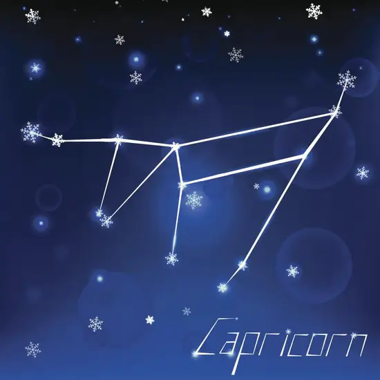 摩羯座的女生性格是怎样的(探究内敛沉稳追求完美的实干家)