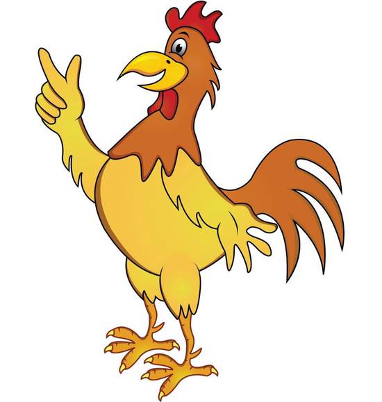 属鸡1969年今年多大(如何算出你的属相年龄)