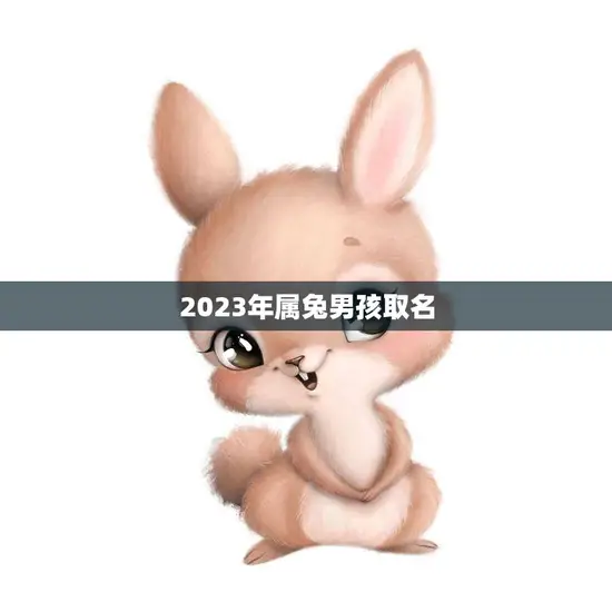 2023年属兔男孩取名(如何选取有意义的名字)