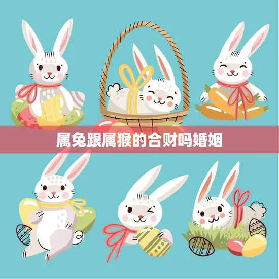 属兔跟属猴的合财吗婚姻(星座配对分析)