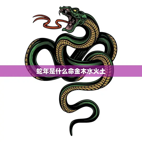蛇年是什么命金木水火土(五行缘起命运揭秘)