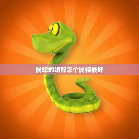 属蛇的婚配哪个属相最好(最佳婚配属相大揭秘)