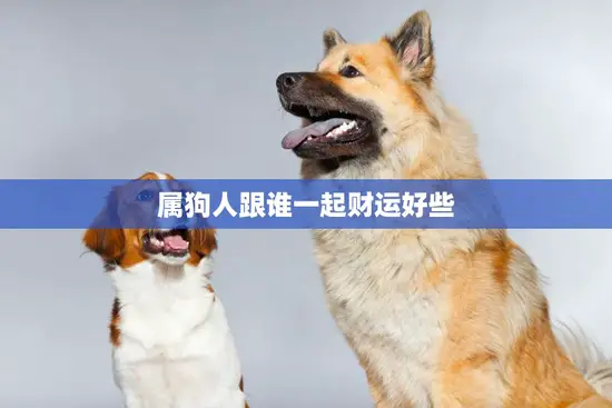 属狗人跟谁一起财运好些(财富共享与这些属相的人最佳)