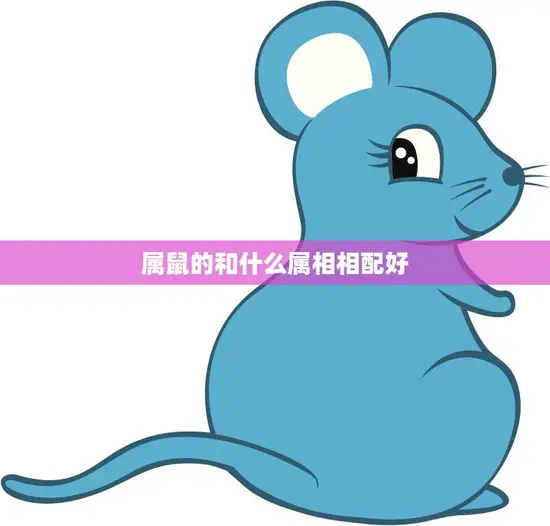 属鼠的和什么属相相配好(最佳配对指南)