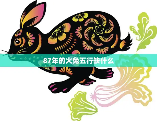 87年的火兔五行缺什么(探寻命理学中的秘密)