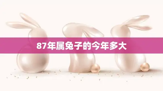 87年属兔子的今年多大(如何计算属兔人的年龄)