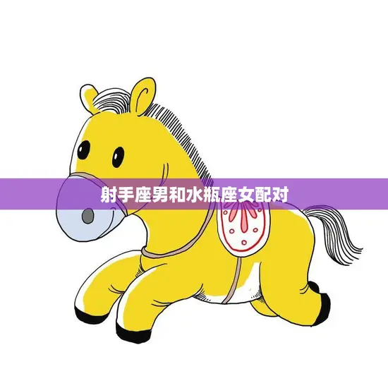 射手座男和水瓶座女配对(天马行空的爱情)