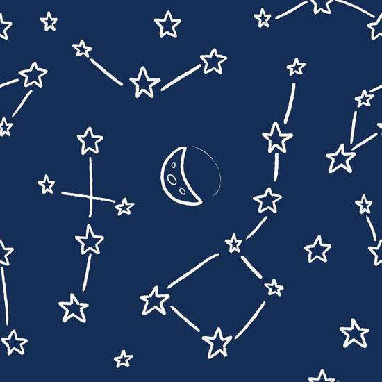 养花创业一般养什么花 不会养花想从事花卉行业