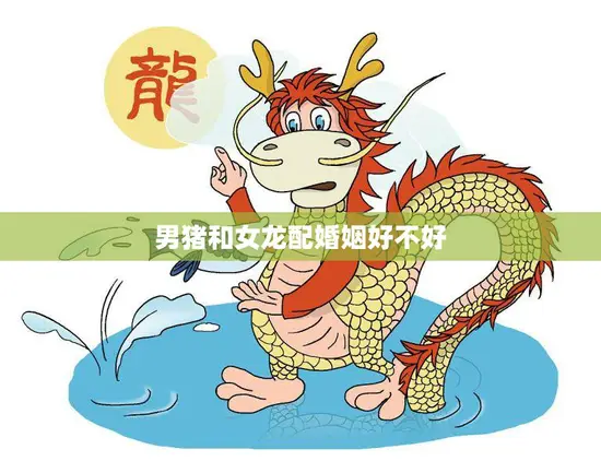 男猪和女龙配婚姻好不好(解析星座配对是否靠谱)