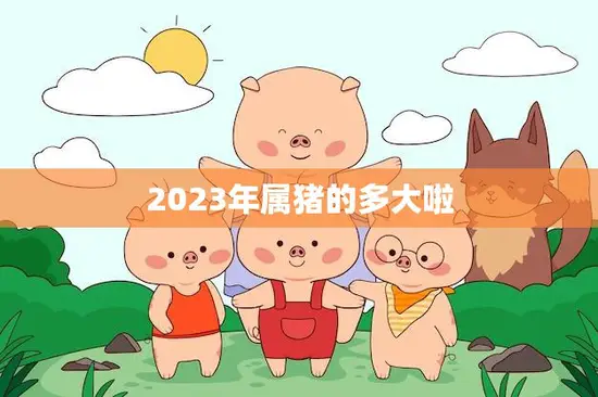 2023年属猪的多大啦(猪年宝宝们即将迎来三岁生日)
