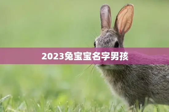 2023兔宝宝名字男孩(热门推荐十大最受欢迎的兔宝宝男孩名字)