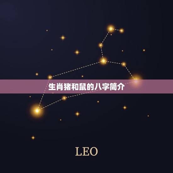 生肖猪和鼠八字合不合(你知道吗)