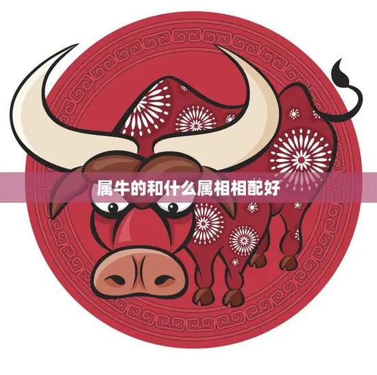属牛的和什么属相相配好(十二生肖配对大揭秘)
