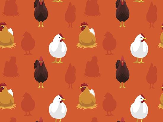 属鸡的女生和什么属相合(最佳配对大揭秘)