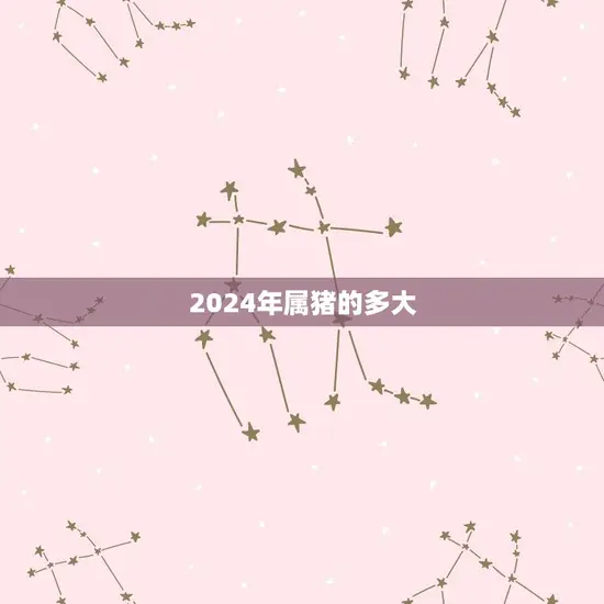 2024年属猪的多大(猪年宝宝指南)