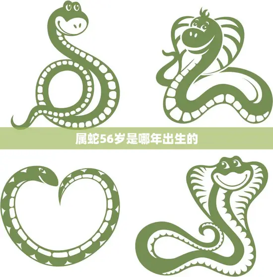 属蛇56岁是哪年出生的(解密属蛇人的命运轨迹)