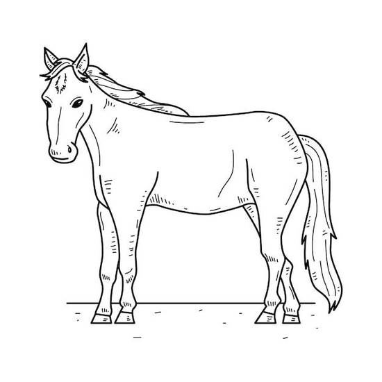 属马的人子女适宜属什么(如何选择最佳属相)