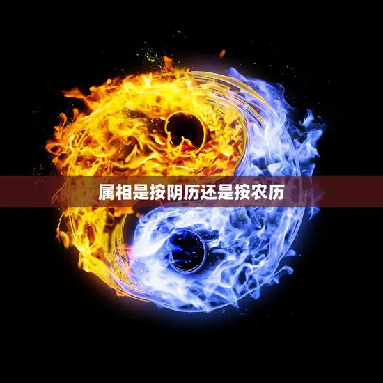 属相是按阴历还是按农历(如何确定你的生肖)