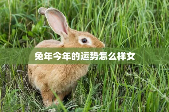兔年今年的运势怎么样女(2023年运势大揭秘)
