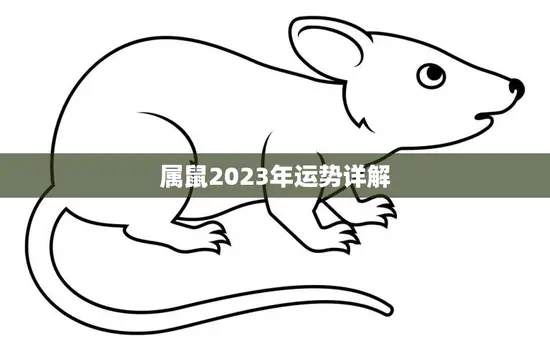 属鼠2023年运势详解(财运亨通事业有成健康平稳)