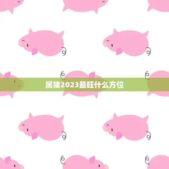 属猪2023最旺什么方位(揭秘猪年财运飞升的秘诀)
