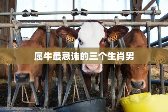 属牛最忌讳的三个生肖男(如何避免招惹这些星座男)