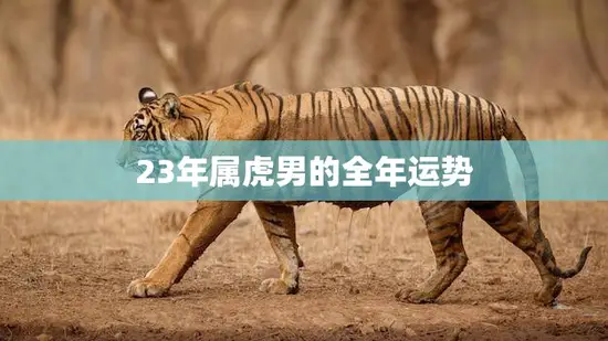 23年属虎男的全年运势(财运旺盛感情顺利)