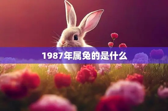 1987年属兔的是什么(生肖属兔的人性格特点和运势解析)