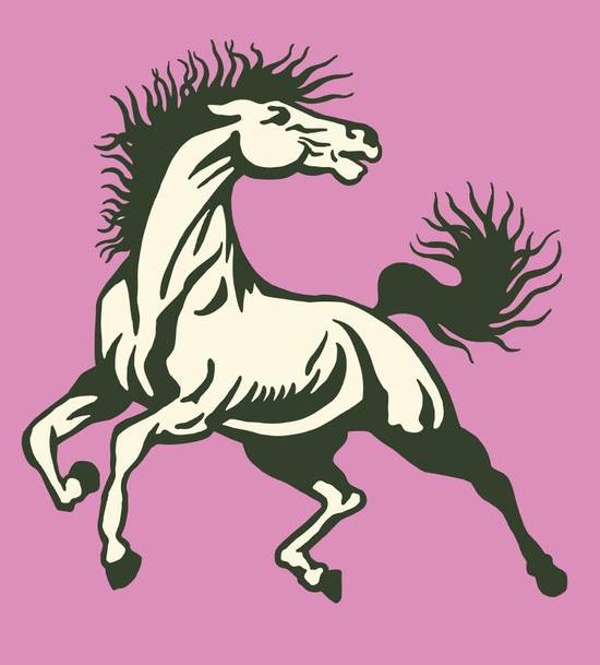 属马的今年多大了54年(马年人的年龄计算方法详解)