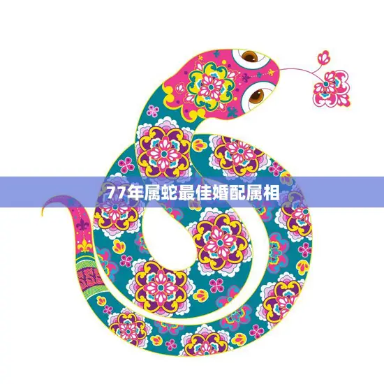 77年属蛇最佳婚配属相(如何选择最合适的伴侣)