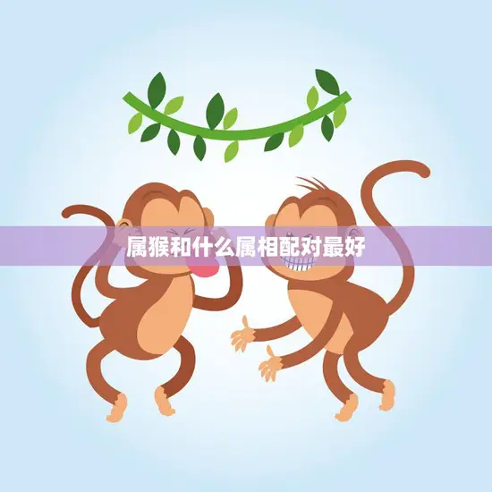 属猴和什么属相配对最好(猴子与哪些属相最般配)