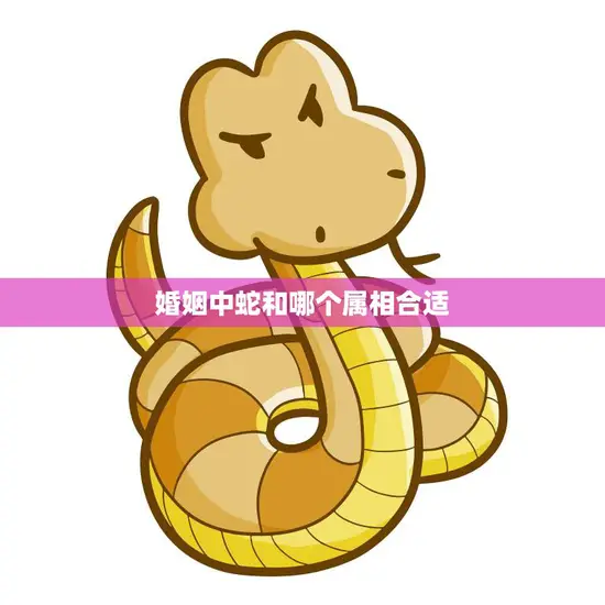 婚姻中蛇和哪个属相合适(寻找最佳配对)