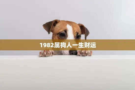 1982属狗人一生财运(如何开启财富之门)