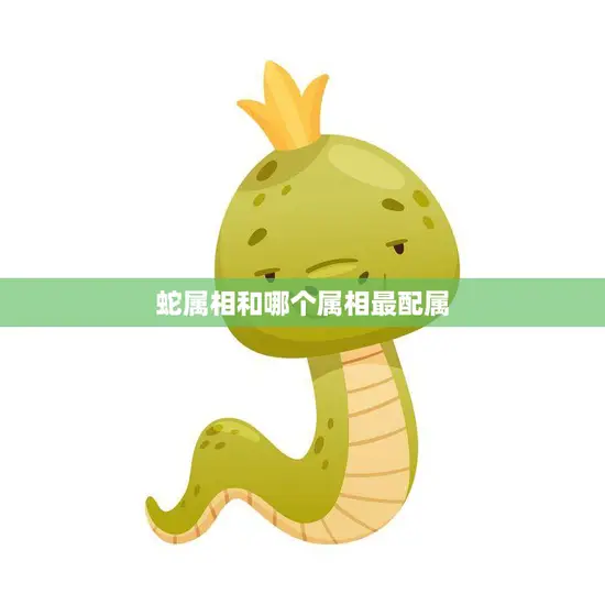 蛇属相和哪个属相最配属(12生肖配对大揭秘)
