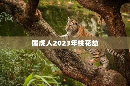 属虎人2023年桃花劫(如何化解)