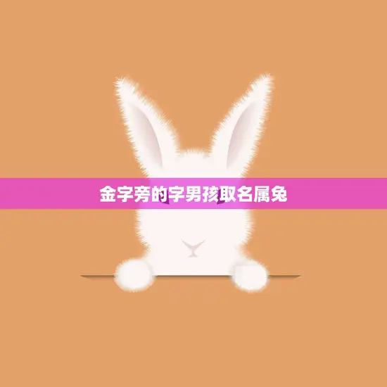 金字旁的字男孩取名属兔(如何选择合适的名字)