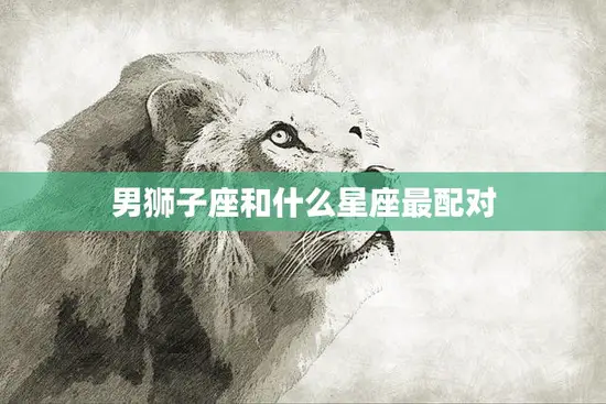 男狮子座和什么星座最配对(探秘12星座最佳CP)