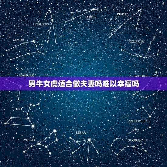 男牛女虎适合做夫妻吗难以幸福吗(分析生肖配对的合适性)