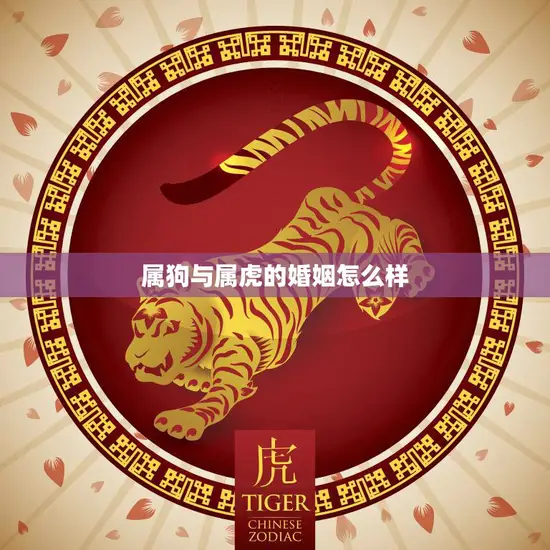 属狗与属虎的婚姻怎么样(解析属相配对的奥秘)