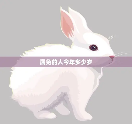 属兔的人今年多少岁(探寻兔年生肖人的年龄之谜)
