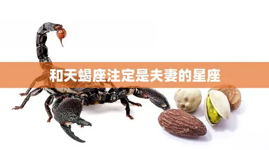 和天蝎座注定是夫妻的星座(完美匹配探寻星座之间的奥秘)
