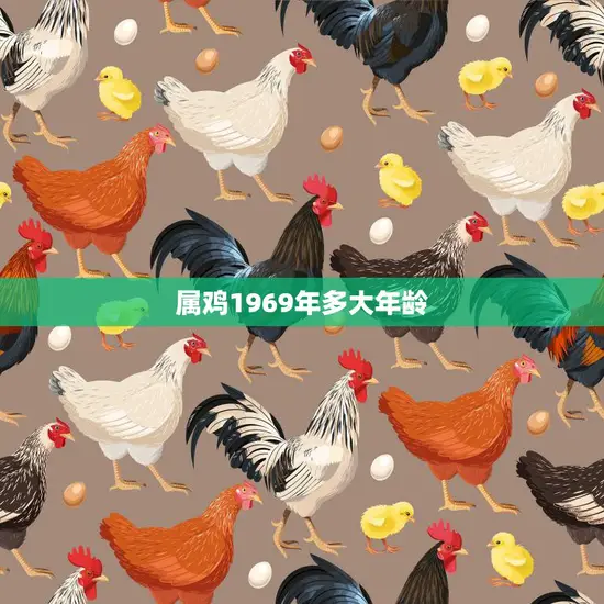 属鸡1969年多大年龄(如何计算)