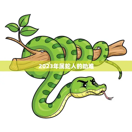 2023年属蛇人的劫难(如何化解)