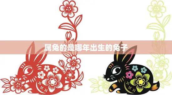 属兔的是哪年出生的兔子(兔年生肖解读)